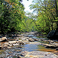 Atlanta, Georgia - Sope Creek 