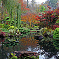 Japanese Gardens 4